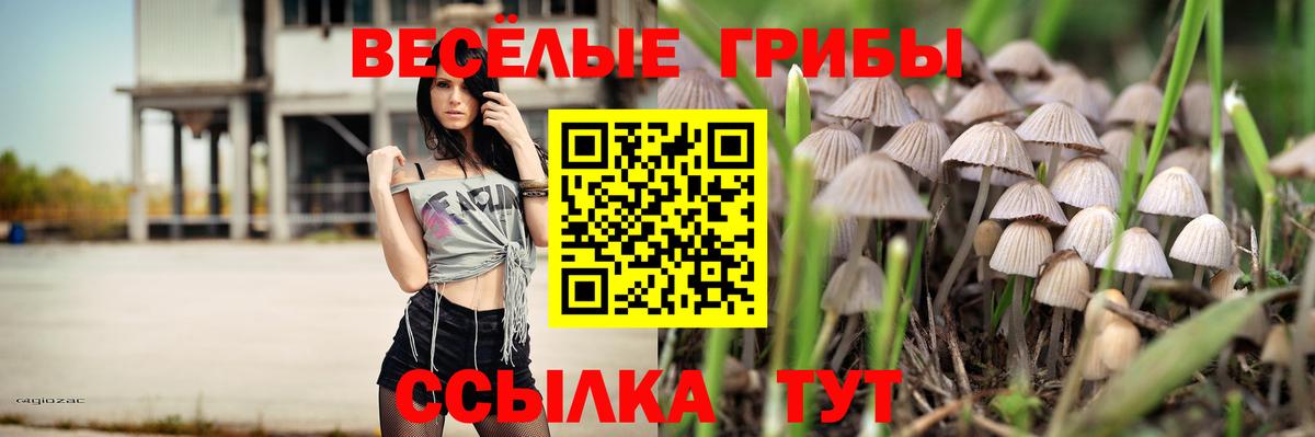 Галлюциногенные грибы GOLDEN TEACHER Новочеркасск